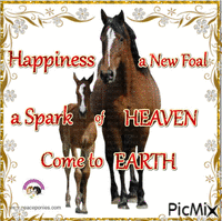 Happiness a New Foal - GIF animate gratis