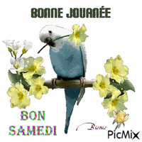 Bon samedi - GIF เคลื่อนไหวฟรี