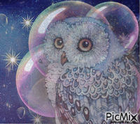 OWL анимированный гифка