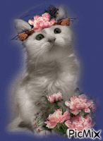 chat fleur - Gratis geanimeerde GIF