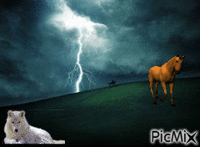 l'orage de la douceur ** - Zdarma animovaný GIF