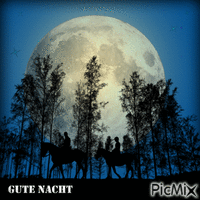 Gute Nacht GIF แบบเคลื่อนไหว