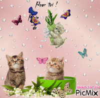1er mai chats - GIF animé gratuit