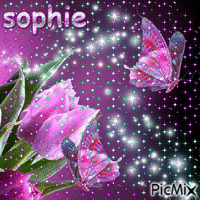 sophie - Бесплатный анимированный гифка