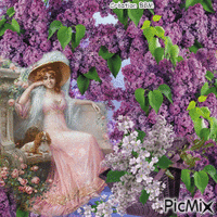 La belle et les lilas par BBM GIF animata