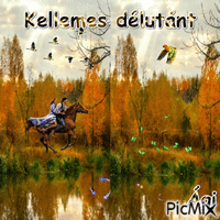 KELLEMES DÉLUTÁNT - Free animated GIF