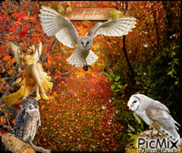 autumn owl 动画 GIF