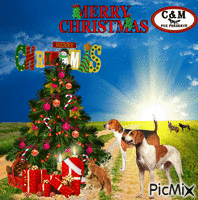 country Christmas - GIF animado grátis