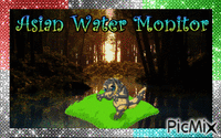 Asian water monitor - GIF animasi gratis