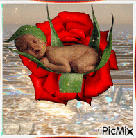 Bebê - Bezmaksas animēts GIF