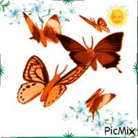 jolis papillons - Gratis geanimeerde GIF