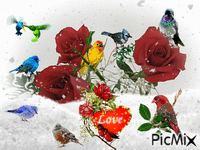 Flowers & Birds Celebrating Winter - Free animated GIF