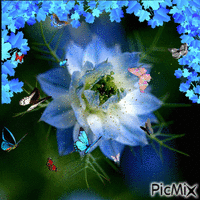 Flores e borboletas! - Free animated GIF