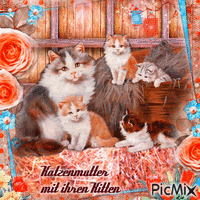 Katzenmutter mit ihren Kitten Gif Animado