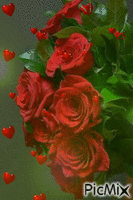 trandafiri - Gratis geanimeerde GIF