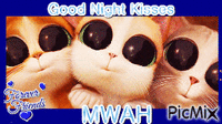 Kissin' Kittens - Free animated GIF