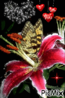 floare - Безплатен анимиран GIF