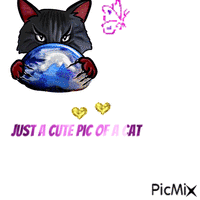 a pic of a cute cat - Gratis geanimeerde GIF