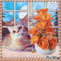 Still life with a cat-contest - 免费动画 GIF