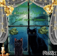 Blessed night 动画 GIF