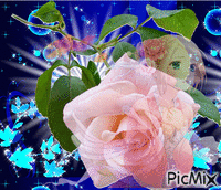 une fleur avec une petite fille - GIF animasi gratis