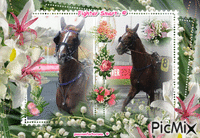 Le champion Figther Smart. © 动画 GIF