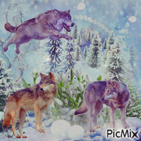 C'est l'hiver au pays des loups - 免费动画 GIF