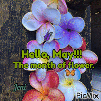 Hello,May! 动画 GIF