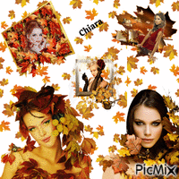 autumn romantic 2 Animated GIF