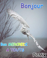 BONJOUR - 無料のアニメーション GIF