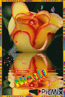 prenom nicole - 無料のアニメーション GIF