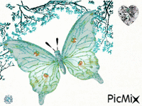 Butterfly animēts GIF