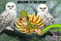 welcome owl animowany gif