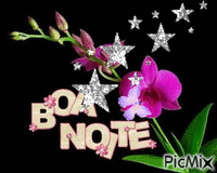 BOA NOTTE - Darmowy animowany GIF