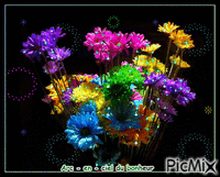 jolie fleurs - Nemokamas animacinis gif