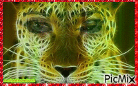 Tiger woman - Darmowy animowany GIF