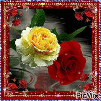 roses - GIF animado gratis