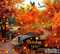 Octobre * October - Nemokamas animacinis gif