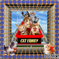 Cat Family - GIF animé gratuit