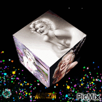 Marilyn Monroe in un cubo