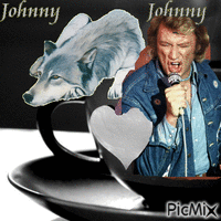 JOHNNY HALLYDAY Animated GIF
