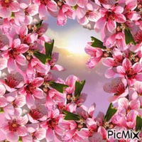 #Flower - GIF animé gratuit