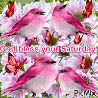 Pink birds, flowers, butterflies and a verse. - Darmowy animowany GIF