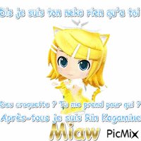 Miaw - GIF animado grátis