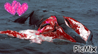 whale - Ilmainen animoitu GIF