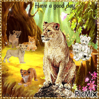 Have a good day. Lion mom and her children. GIF แบบเคลื่อนไหว