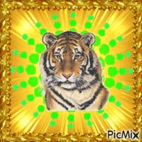 tigre GIF animado