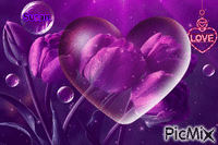 romantica rosa - Gratis animeret GIF