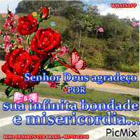 ROSA DE SARON CCB BRASIL - MENSAGENS - Bezmaksas animēts GIF