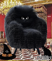 BLACK  CAT - 無料のアニメーション GIF